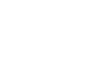 Logo LAGUN